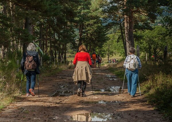 Rutas Flexibles y Entre Semana