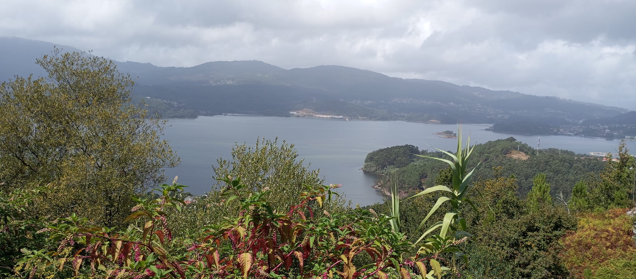 Camino de Santiago – Día 2: De O Porriño a Arcade