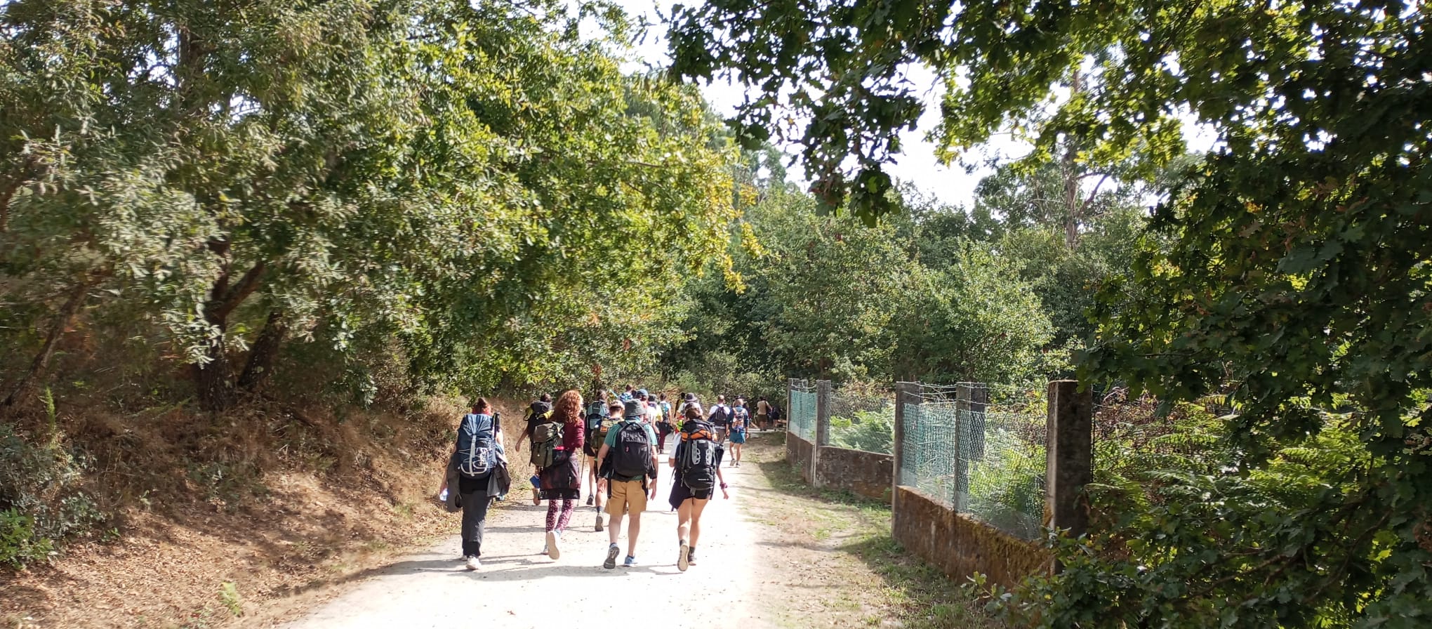 Cercedilla Ruta del Agua con Guía Oficial Senderismo Boutique